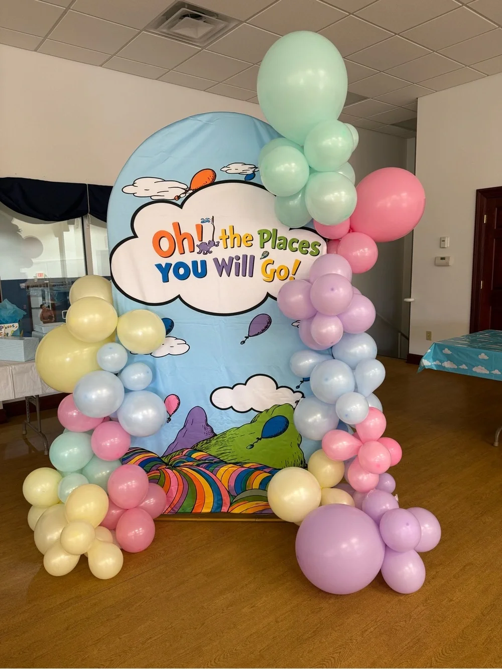 Oh The Places You Will Go Backdrop Decoration